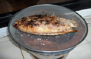 fish grilled